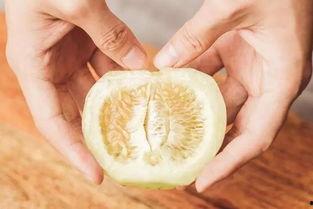 免费吃瓜收籽是真的吗  第2张