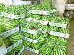 武汉爆料最新吃瓜,吃瓜群众揭秘幕后真相