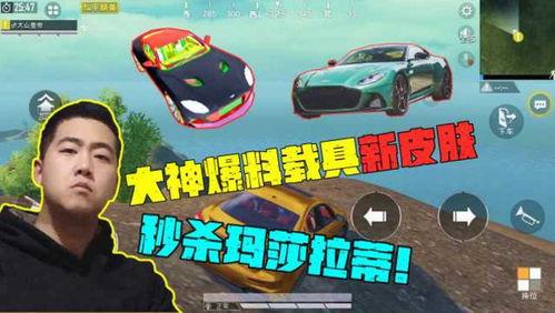 吃鸡新皮肤爆料最新载具,吃鸡新皮肤同步曝光！  第3张