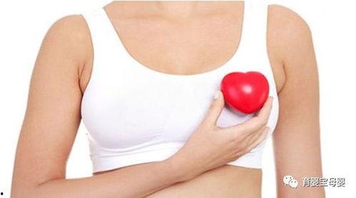 乳房的一生在线观看,从青春期到更年期，探索女性乳房的演变历程  第2张