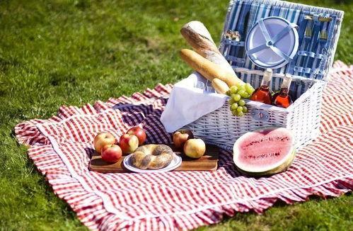 野餐兔网红吃瓜视频播放