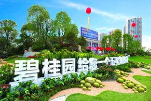 安阳碧桂园爆料案件最新,揭开背后惊人真相 第2张 安阳碧桂园爆料案件最新,揭开背后惊人真相 第2张