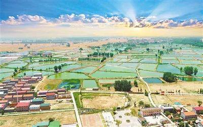 中牟九堡免费吃瓜,免费吃瓜活动乐翻天