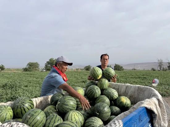 中牟九堡免费吃瓜,免费吃瓜活动乐翻天 第3张 中牟九堡免费吃瓜,免费吃瓜活动乐翻天 第3张