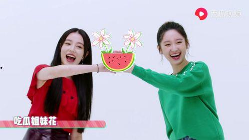 姐妹在线吃瓜视频观看免费,在线吃瓜,畅享免费娱乐时光 第3张 姐妹在线吃瓜视频观看免费,在线吃瓜,畅享免费娱乐时光 第3张