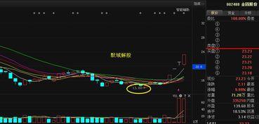 黄金行情最新分析爆料,最新行情分析揭秘
