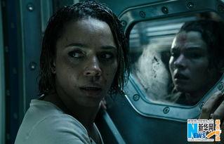 电影阿菲尔在线观看,穿越时空的奇幻之旅 第3张 电影阿菲尔在线观看,穿越时空的奇幻之旅 第3张