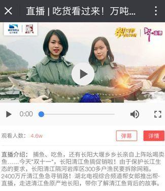 头条张女士最新爆料,揭开娱乐圈惊天秘密! 第3张 头条张女士最新爆料,揭开娱乐圈惊天秘密! 第3张