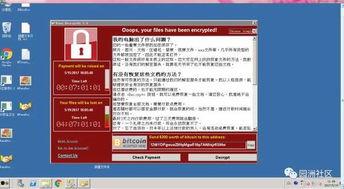 园洲今日爆料新闻直播,直播揭秘最新爆料事件