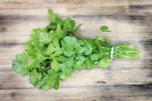 香菜管理爆料怎么做视频,视频制作攻略全解析