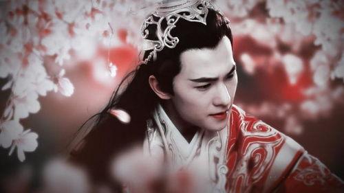 演员王佑硕爆料了吗视频,爆料视频背后的真实情感与挑战  第3张